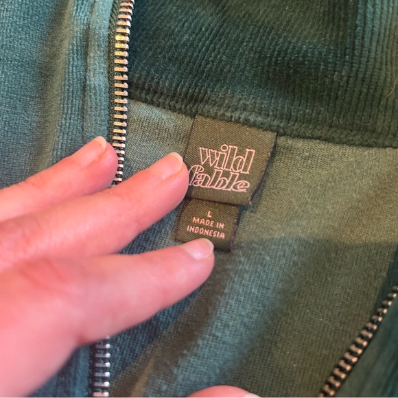 [Wild Fable] Forest Green Velvet Quarter Zip Pullover - Picture 4 of 6